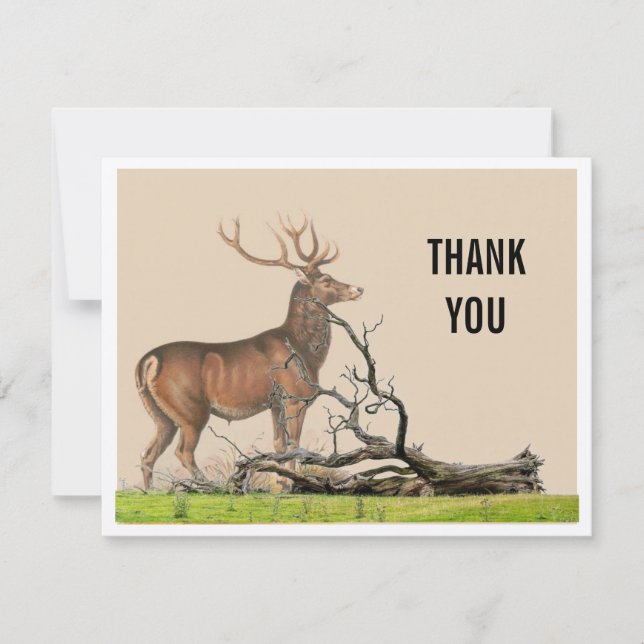 Rustic Vintage Stag Deer Thank You Card (Front)