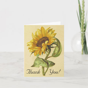 Rustic Vintage Style Sunflower Thank You Card