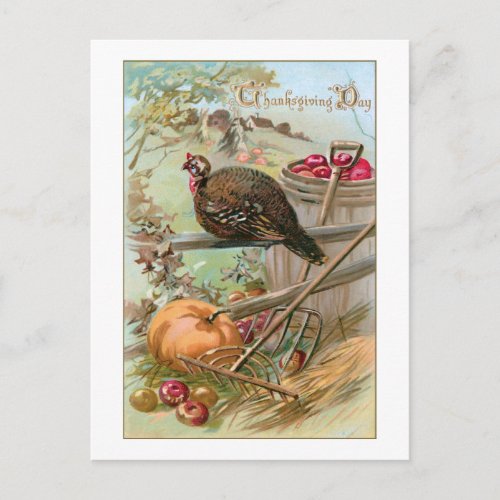 Rustic Vintage Thanksgiving Turkey  Pumpkin Postcard