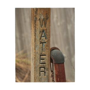 Rustic Water Valve Wood Wall Art