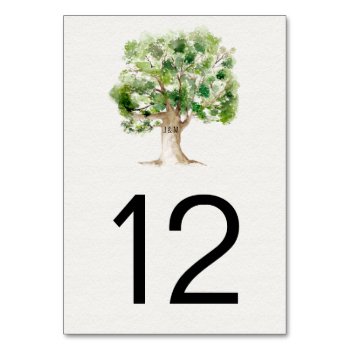 Rustic Watercolor Oak Tree | Table Number by dmboyce at Zazzle