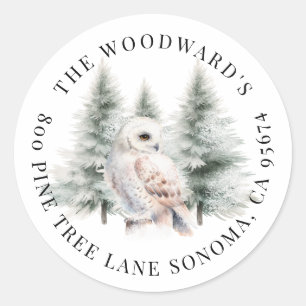 Rustic Watercolor Snowy Owl Holiday Classic Round Sticker