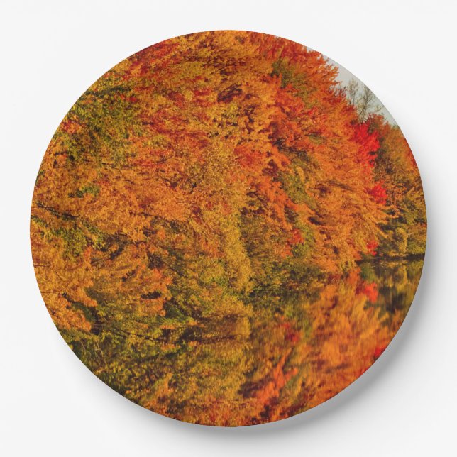 Rustic Wedding Amazing Fall Foliage Stunning Photo Paper Plates (Front)