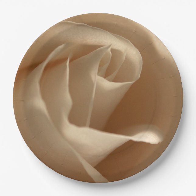 Rustic Wedding Cream Rose Fall Floral Beauty Paper Plates (Front)