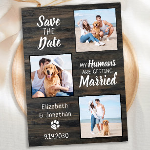 Rustic Wedding Pet Photo Dog Save The Date