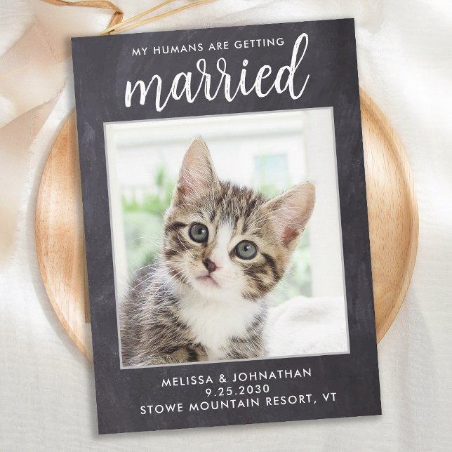 Rustic Wedding Simple Custom Pet Photo Cat Dog  Save The Date (Creator Uploaded)