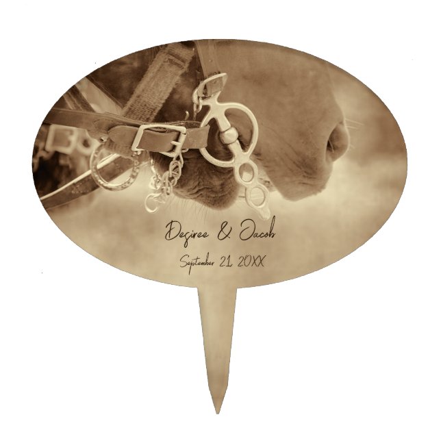 Rustic Western Brown Horse Wedding Cake Topper (Front)