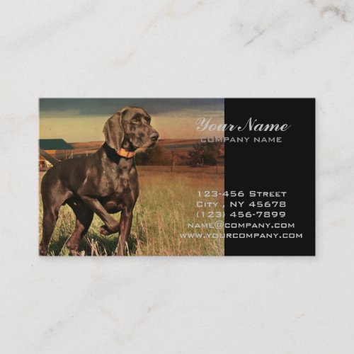 rustic western country farm labrador retriever business card
