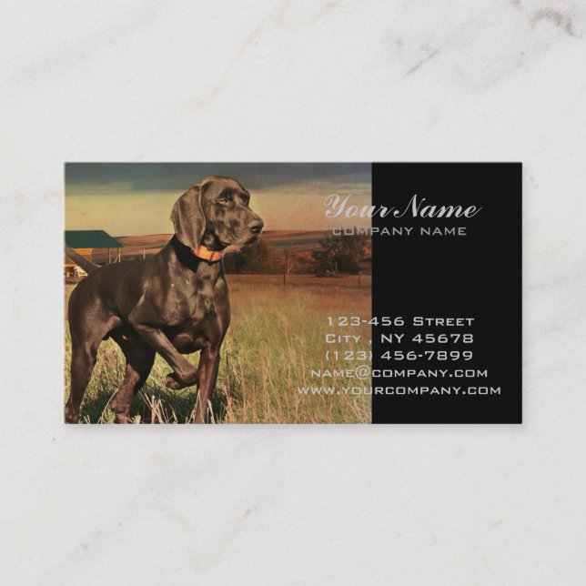 rustic western country farm labrador retriever business card (Front)