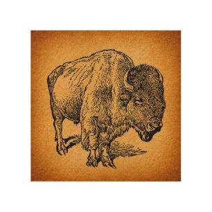 Rustic Western Wild Buffalo Bison Antique Art