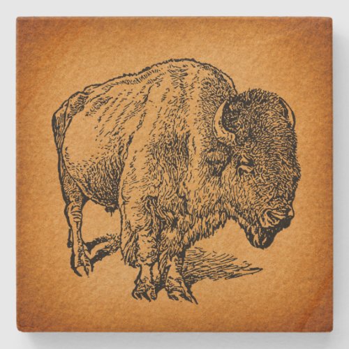 Rustic Western Wild Buffalo Bison Antique Art Stone Coaster
