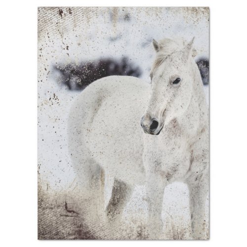 RUSTIC WHITE HORSE VINTAGE PHOTO TISSUE PAPER