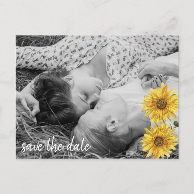 Rustic White Wood Sunflowers Save the Date Announcement Postcard (Front)