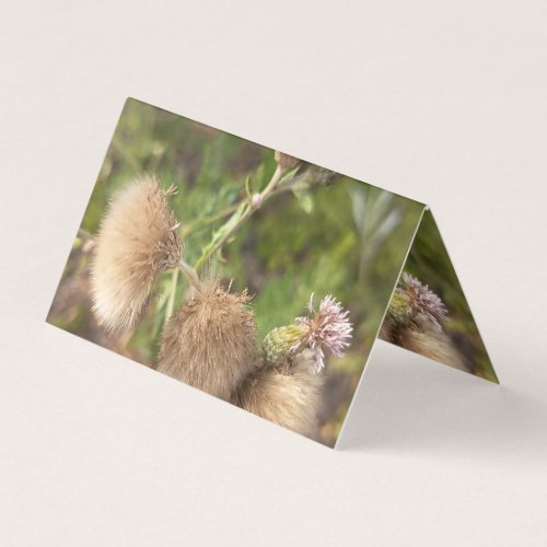 Rustic Wild Thistle Botanical Business Card