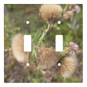 Rustic Wild Thistle Decorative Wall Plate for Natu
