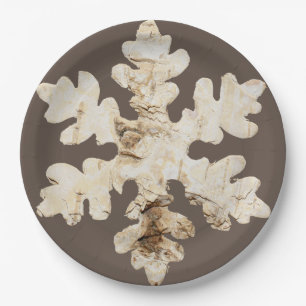 Rustic winter Birchwood snowflake brown white Paper Plates