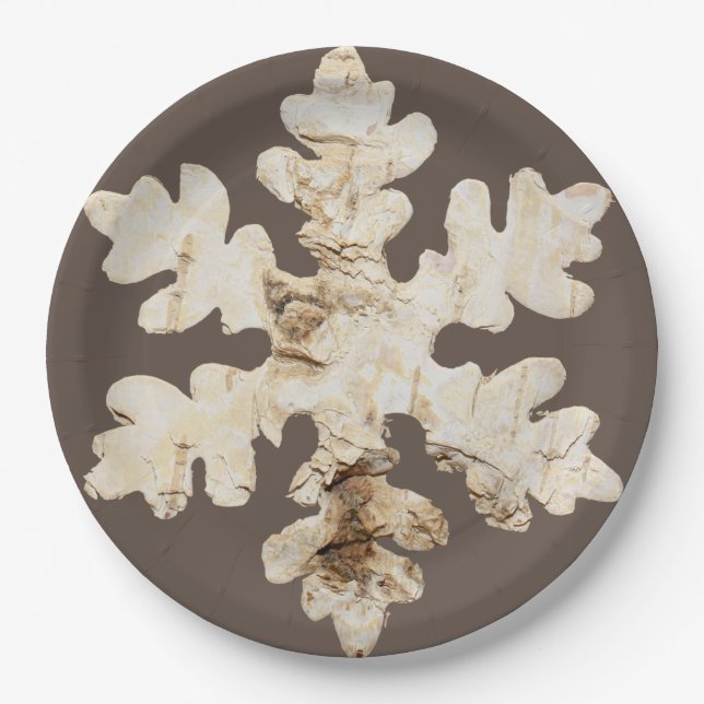 Rustic winter Birchwood snowflake brown white Paper Plates (Front)