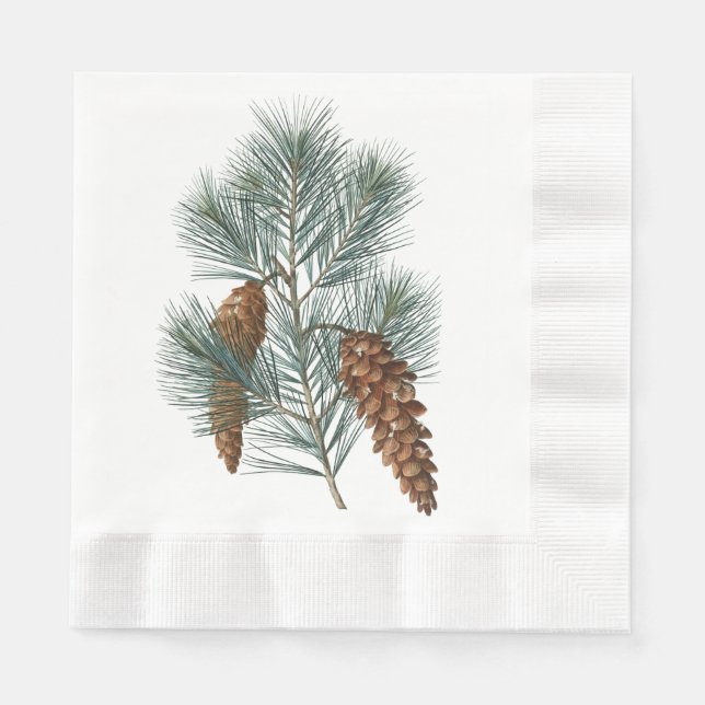 Rustic Winter Woodland Pine Cones and Branch Napkins (Front)
