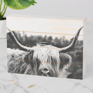 Rustic Wood Boho Chic Highland Cow Plaque