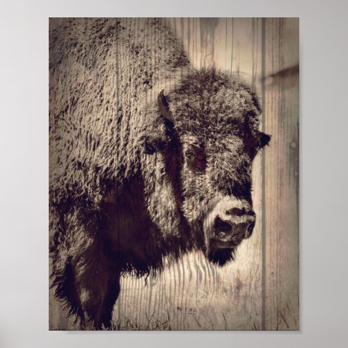 Rustic Wood Buffalo Photo Wild Western  Poster