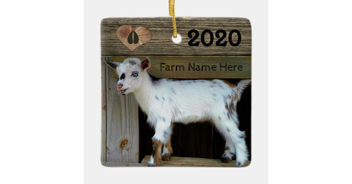 goat hoof print