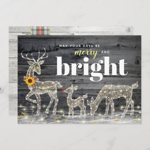 Rustic Wood Sunflower Reindeer Christmas Cards