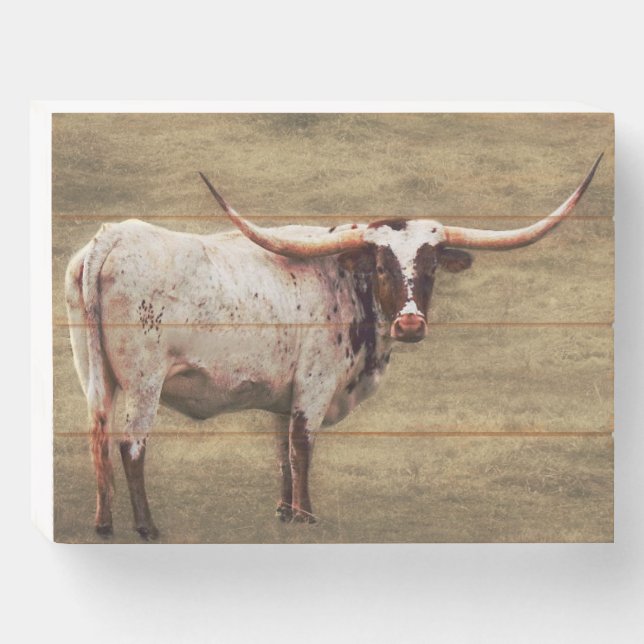 Rustic Wood Texas Longhorn Cow Wooden Box Sign (Front Horizontal)