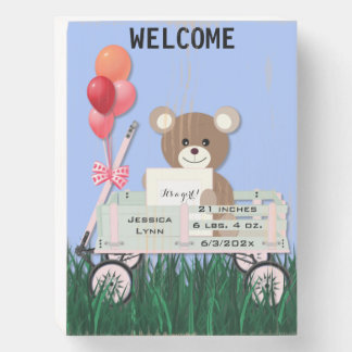 Rustic Wooden Box Sign for New Baby Girl