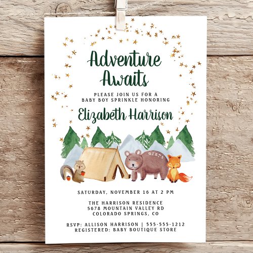 Rustic Woodland Animals Adventure Baby Sprinkle Invitation