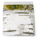 Rustic