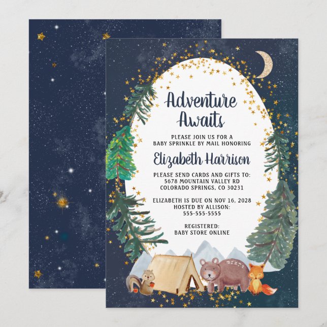 Rustic Woodland Night Sky Baby Sprinkle By Mail Invitation (Front/Back)