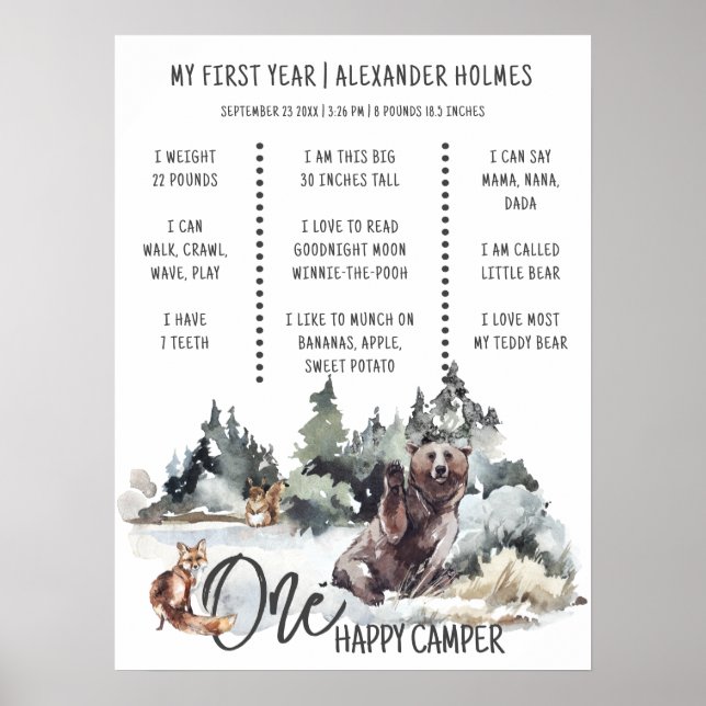 Rustic Woodland One Happy Camper Milestone Board Poster (Front)
