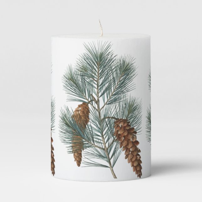 Rustic Woodland Pine Cones Branch Pillar Candle (Front)