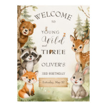 Rustic Woodland Young Wild and Three 3rd Birthday 