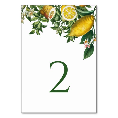 Rustic Yellow Lemon  Foliage Greenery Table Number