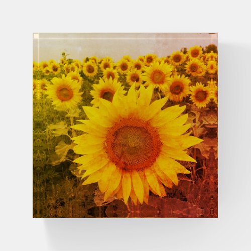 Rustic Yellow Sunflowers Paperweight