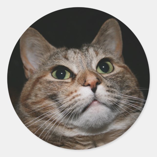 Rusty Classic Round Sticker (Front)