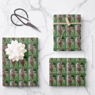 Rusty Flower Garden Rabbit Floral Nature Wrapping Paper Sheets