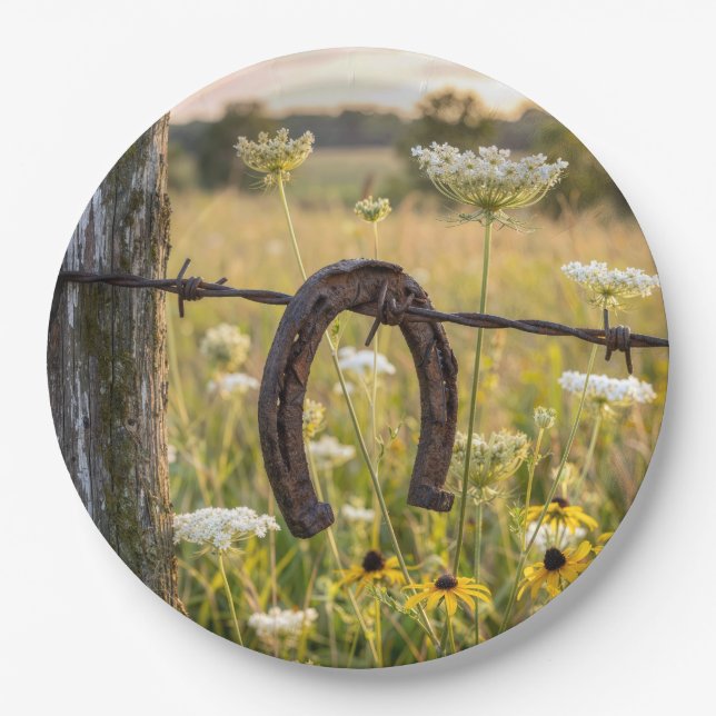 Rusty Horseshoe on Barbed Wire Fence Paper Plates (Front)