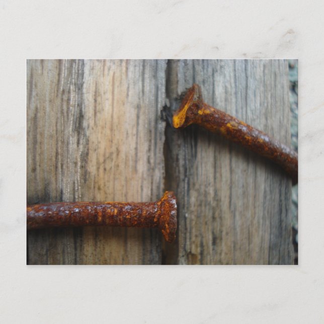Rusty nails in wood2 postcard (Front)