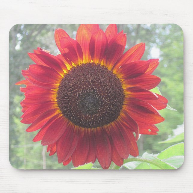 Rusty Red Sunflower Mouse Pad (Front)