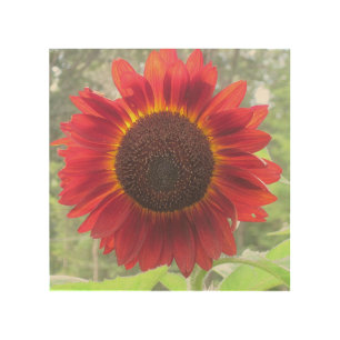 Rusty Red Sunflower Wood Wall Art