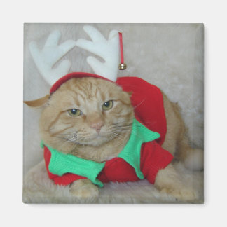 Rusty the Reindeer Elf Magnet