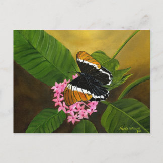 Rusty-tipped Butterfly Postcard by Maria Williams