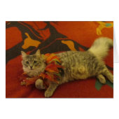 Ruthie the Cat (Front Horizontal)