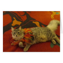 Ruthie the Cat