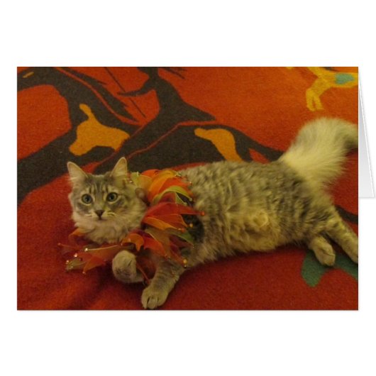 Ruthie the Cat Cards (Front Horizontal)