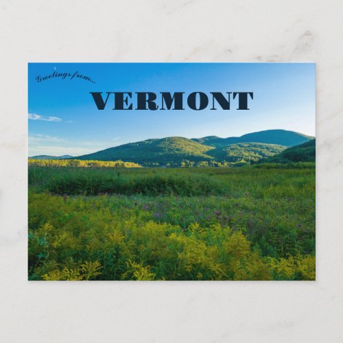 Rutland Vermont  Postcard