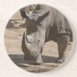 Rutting Rhino Drink Coaster<br><div class="desc">Rhinoceros with two horns.</div>