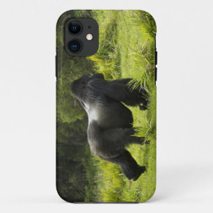 Rwanda, Volcanoes National Park iPhone 11 Case